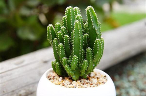  data-cke-saved-src=http___www.168mh.com_wp-content_uploads_2019_07_1e659587cee1f1a.jpg&refer=http___www.168mh_副本.jpg src=http___www.168mh.com_wp-content_uploads_2019_07_1e659587cee1f1a.jpg&refer=http___www.168mh_副本.jpg